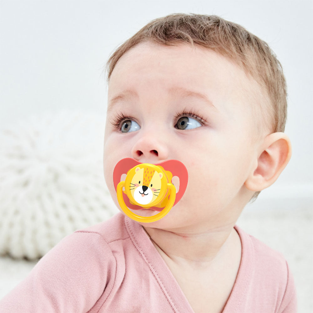 Pacifiers with Replaceable Teats (2 pacifiers)